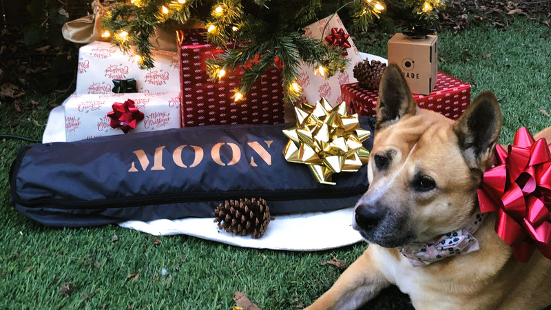 Moon Holiday Gift Guide 2022