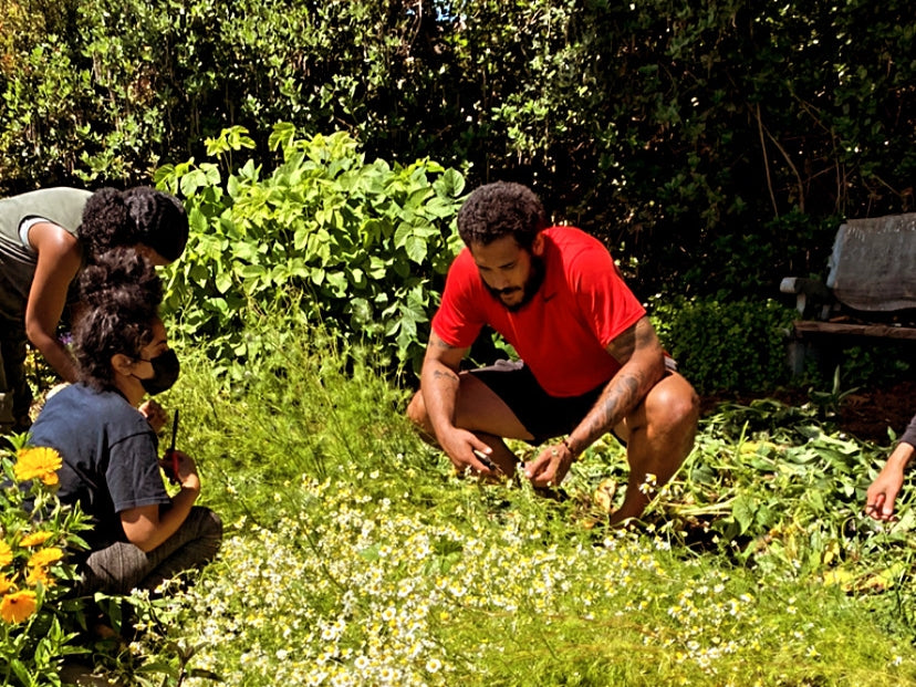 How to Be a Good Guest to Indigenous Land