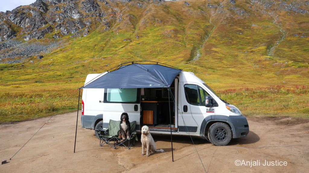 Ram Promaster