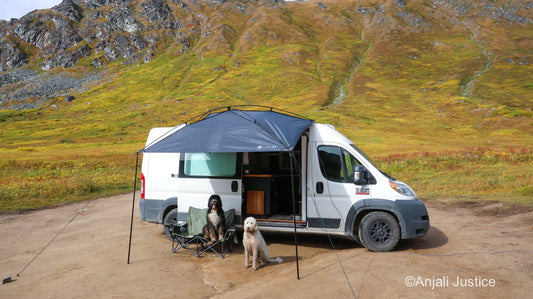 Ram Promaster